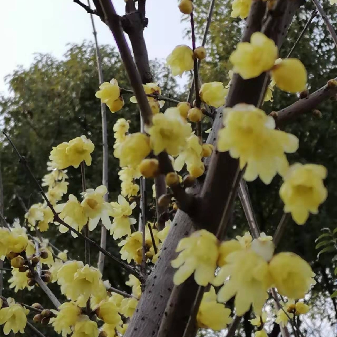 我有一千万一千万