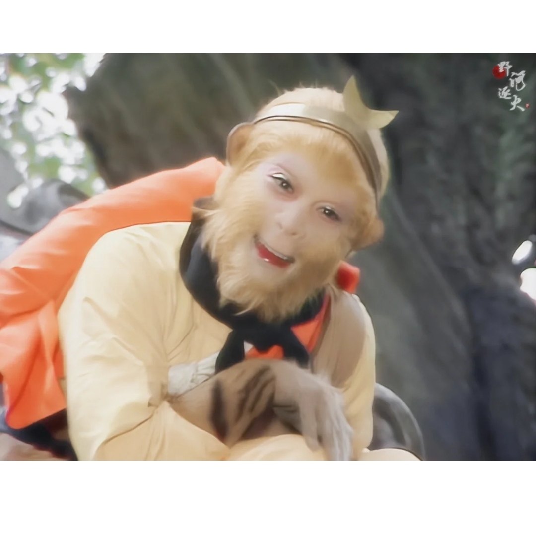 爱吃双燕还巢的小巨人