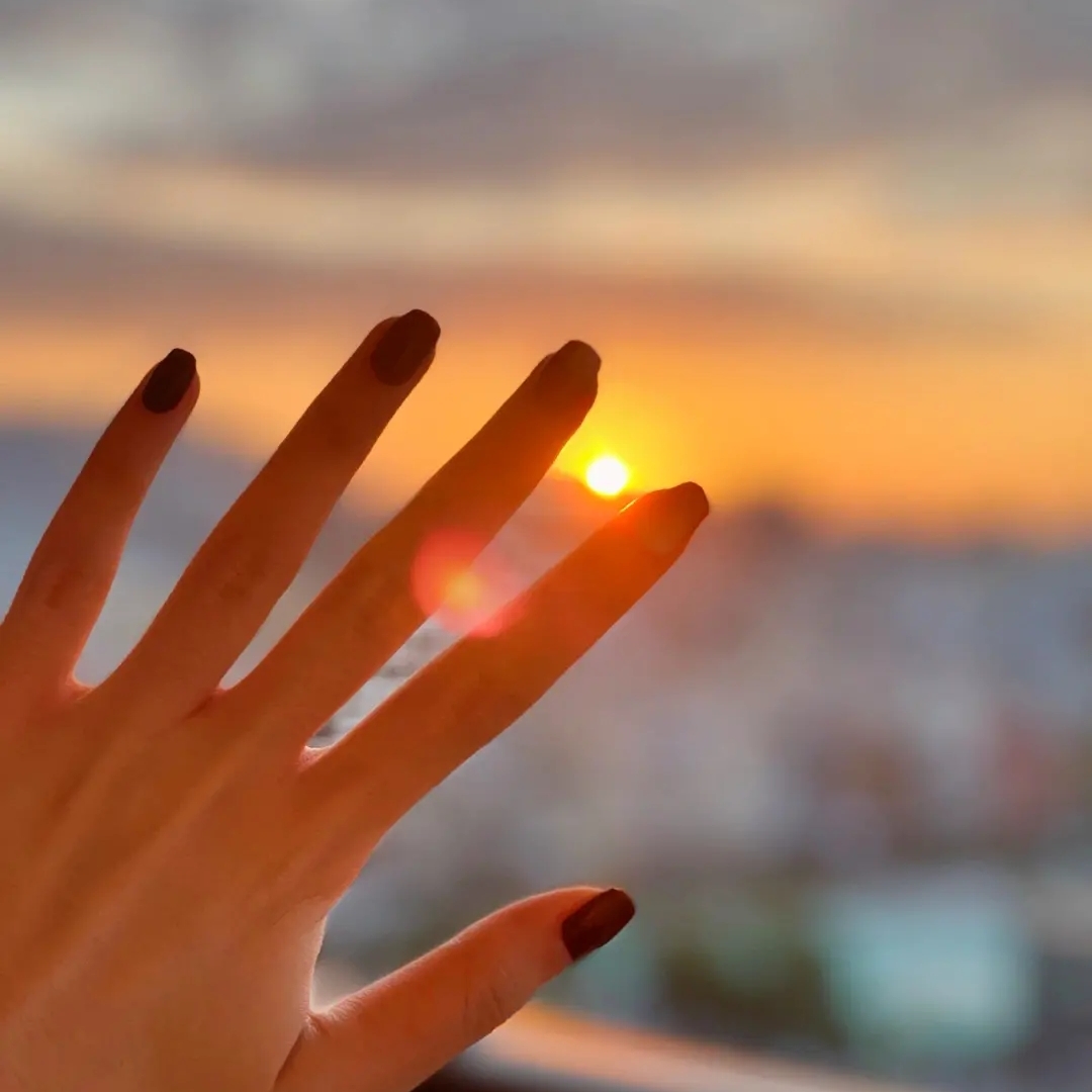 要发财的珍古珍