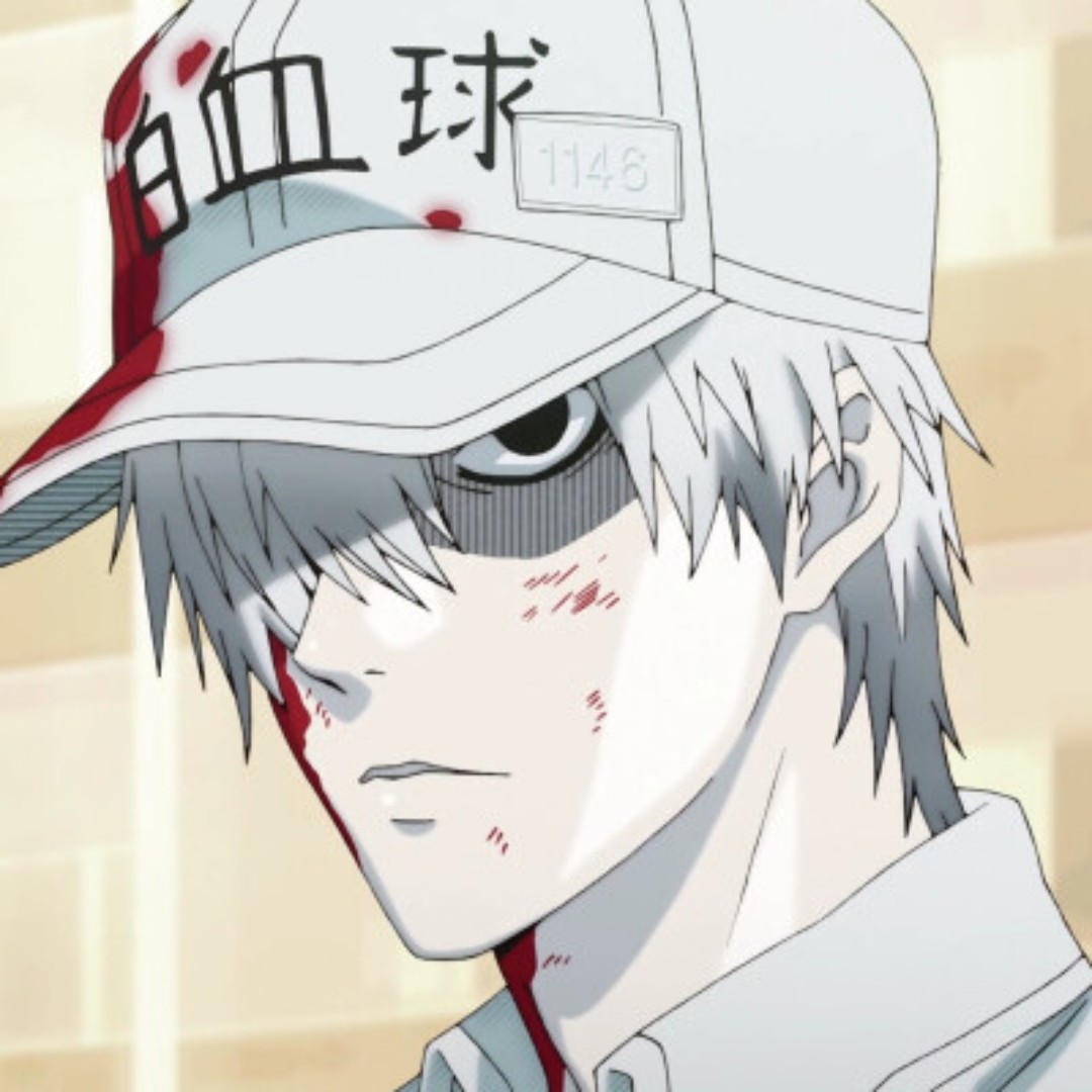 牡丹城乐呵的川朴