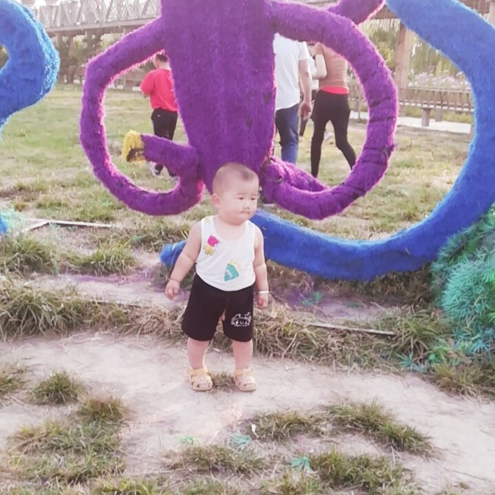 爱吃芸豆包子的路飞