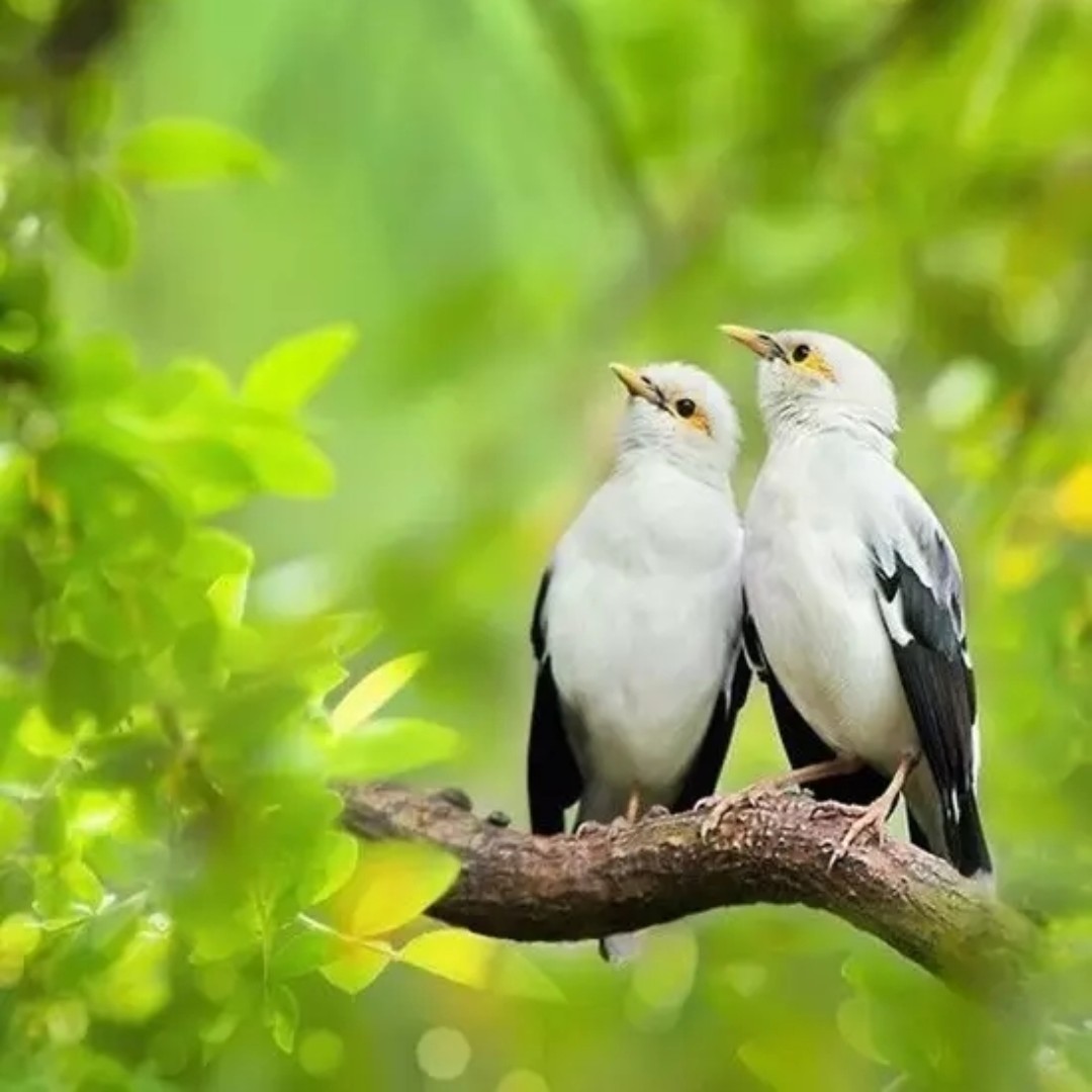 老油条爱漂亮123520