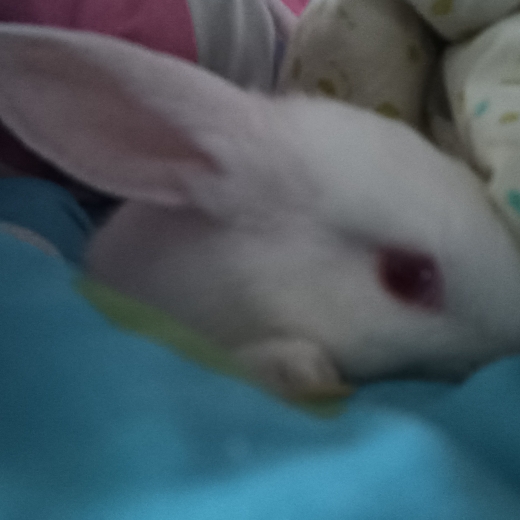 只为一人温柔(^^)