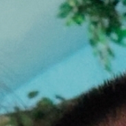 香蕉牛奶拜托了