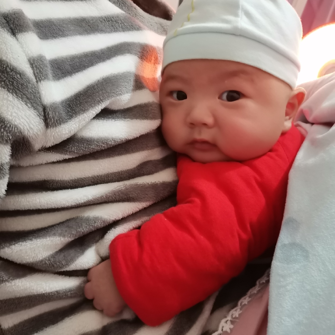 爱吃银鱼小炒的喵喵酱