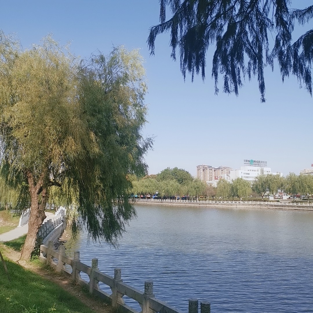 婷婷爱喝烧仙草