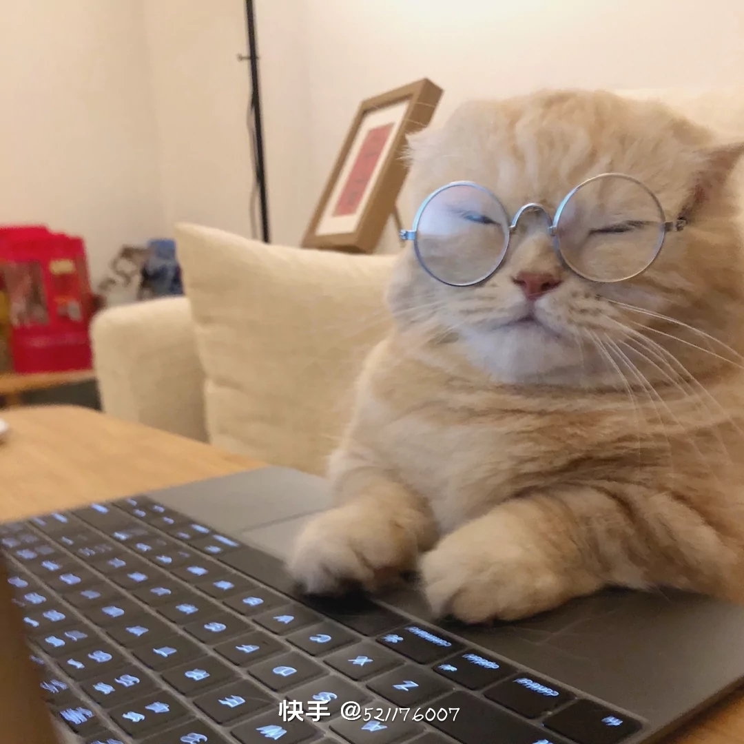 爱吃三丝会首的小简洁