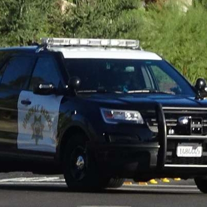 你亲爱的好大die