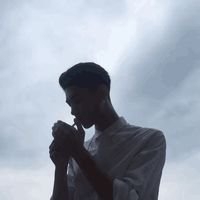 正府街初级秋葵