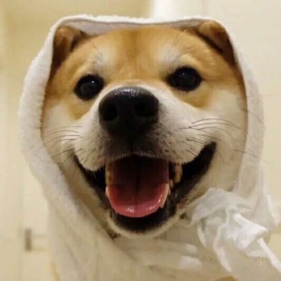 小黑猪的购物车