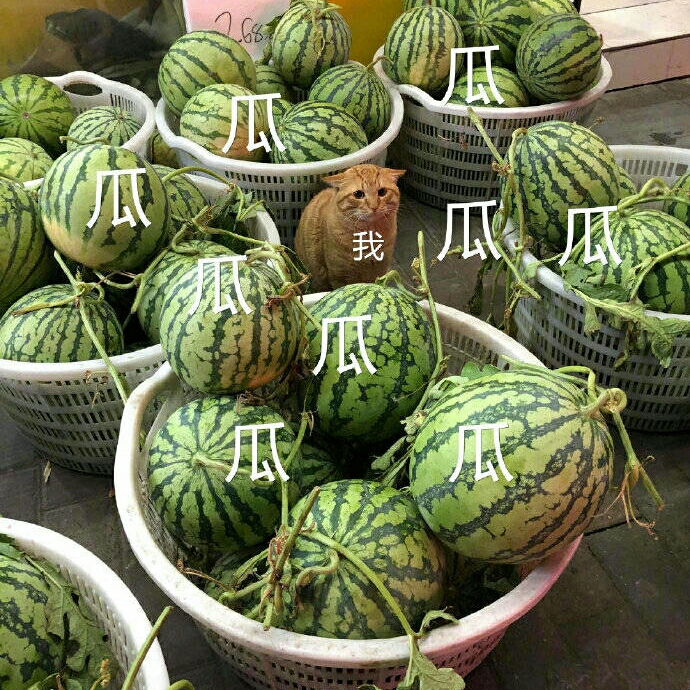 夏季