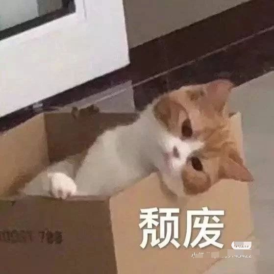 爱吃东北拉皮的牛奶冰