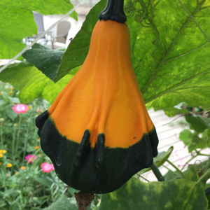 不屑一顾的才是金子