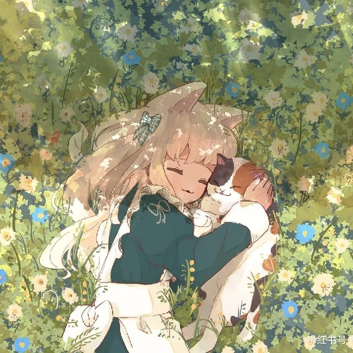 爱吃三丝鱼卷的猫九