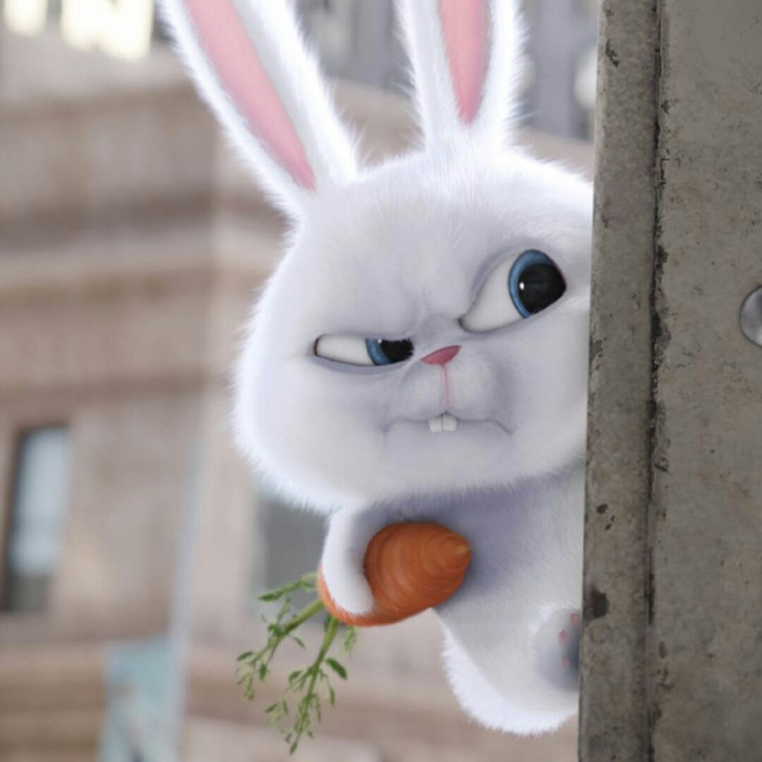 我愿生活更好wm