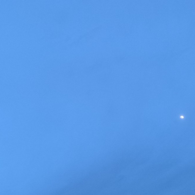 爱吃干豆腐丝的剧本