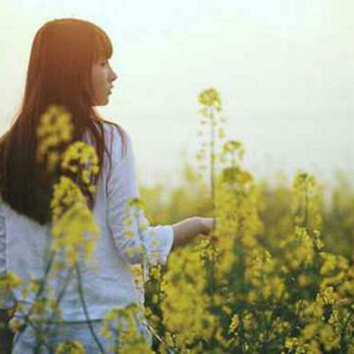 不见茶花好多年＿