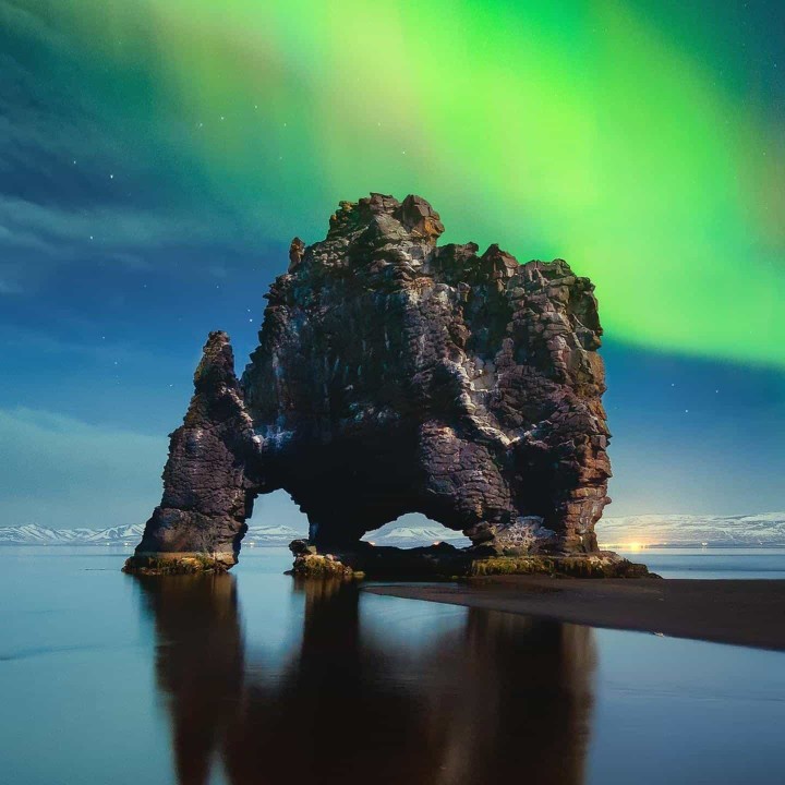 有创意的棉花糖花落