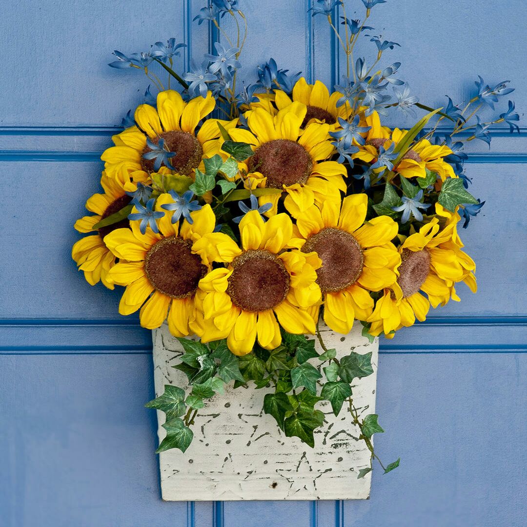 吃鲸鱼的巴爪鱼