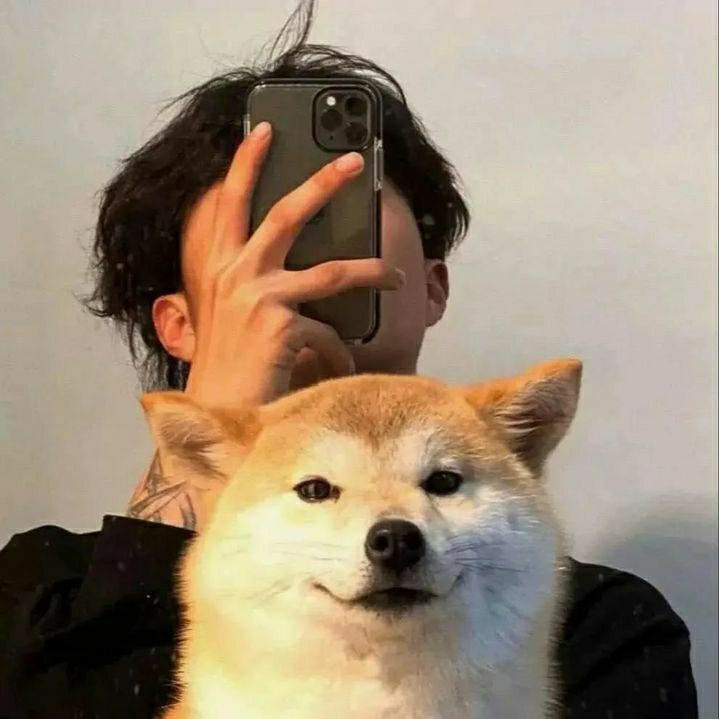 爱吃冷面的小虎子