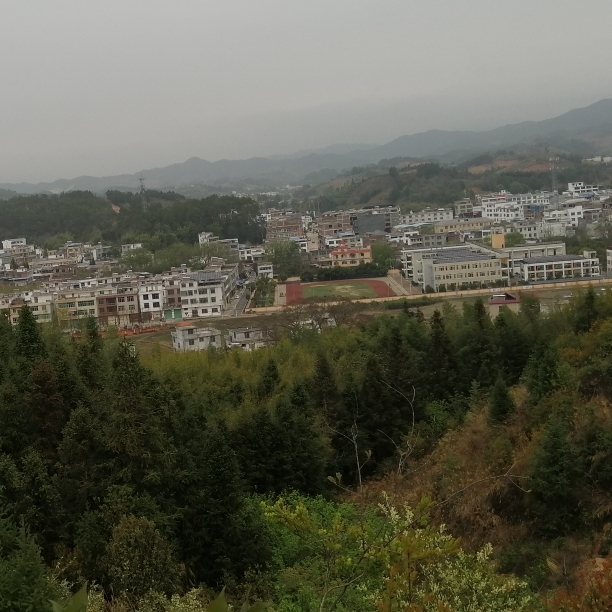 三百山Tang