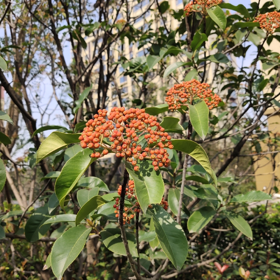 做内心强大的刘大姐