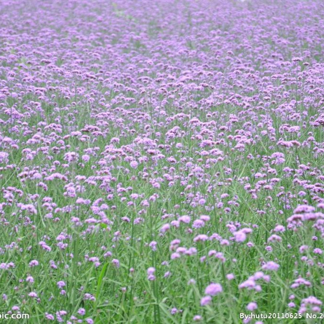 过去回不来了啊