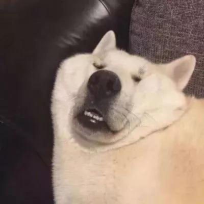 理性购物的小妞妞