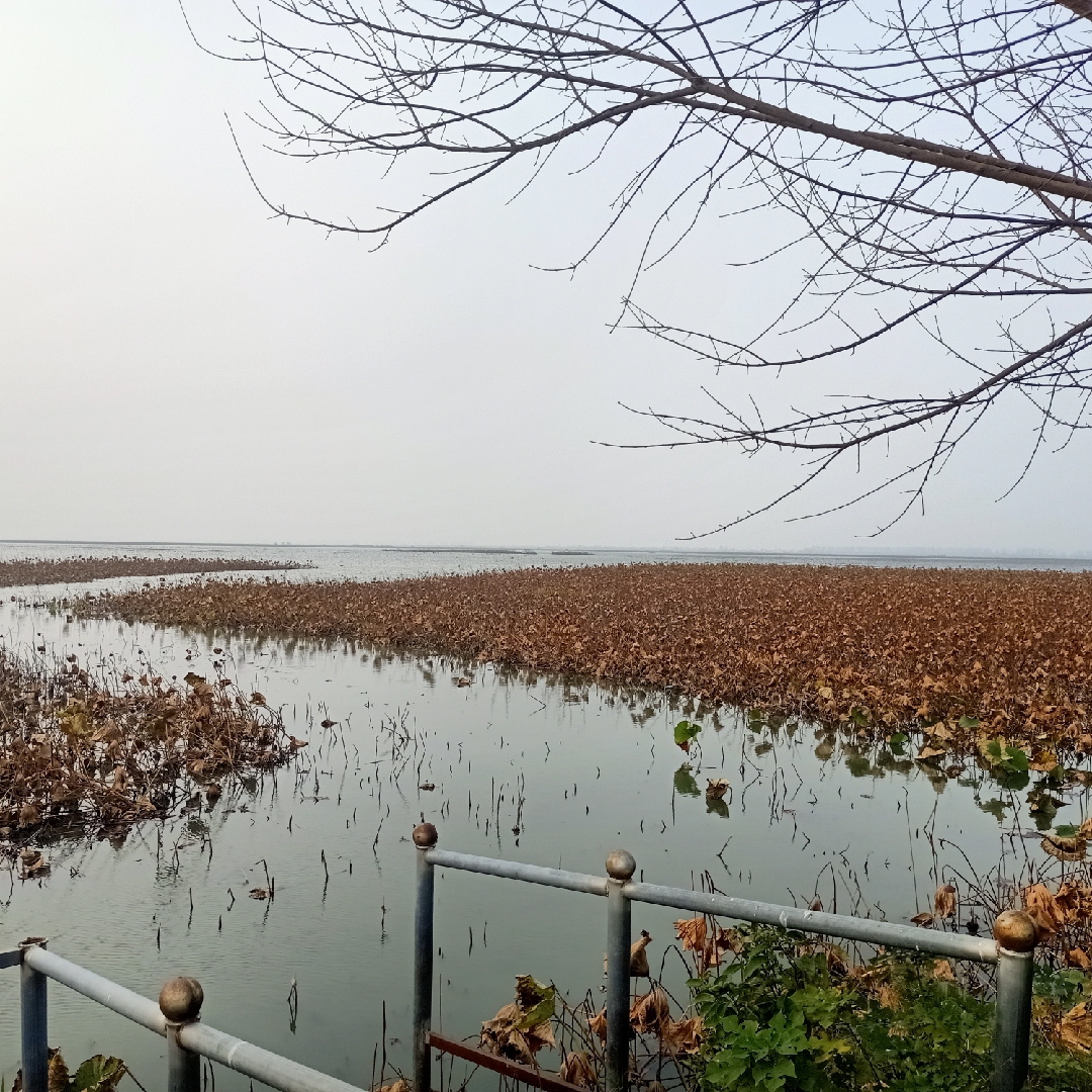 醉酒的蜗牛王子