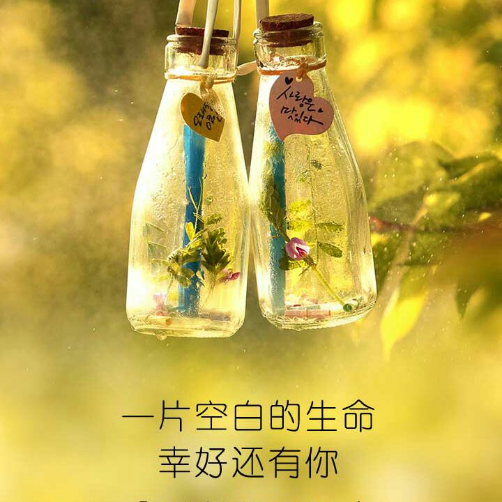 一叶知秋一叶TAT