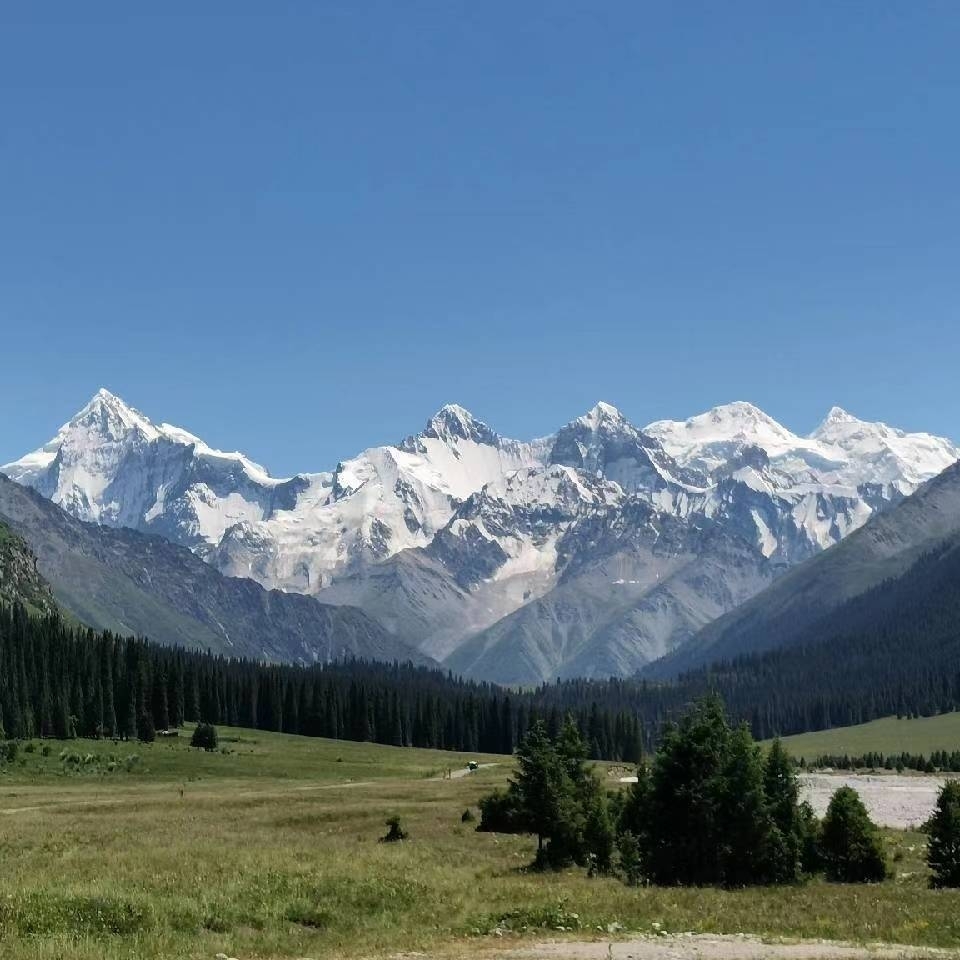 年轻气盛的老人