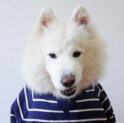 我超无敌爆炸甜