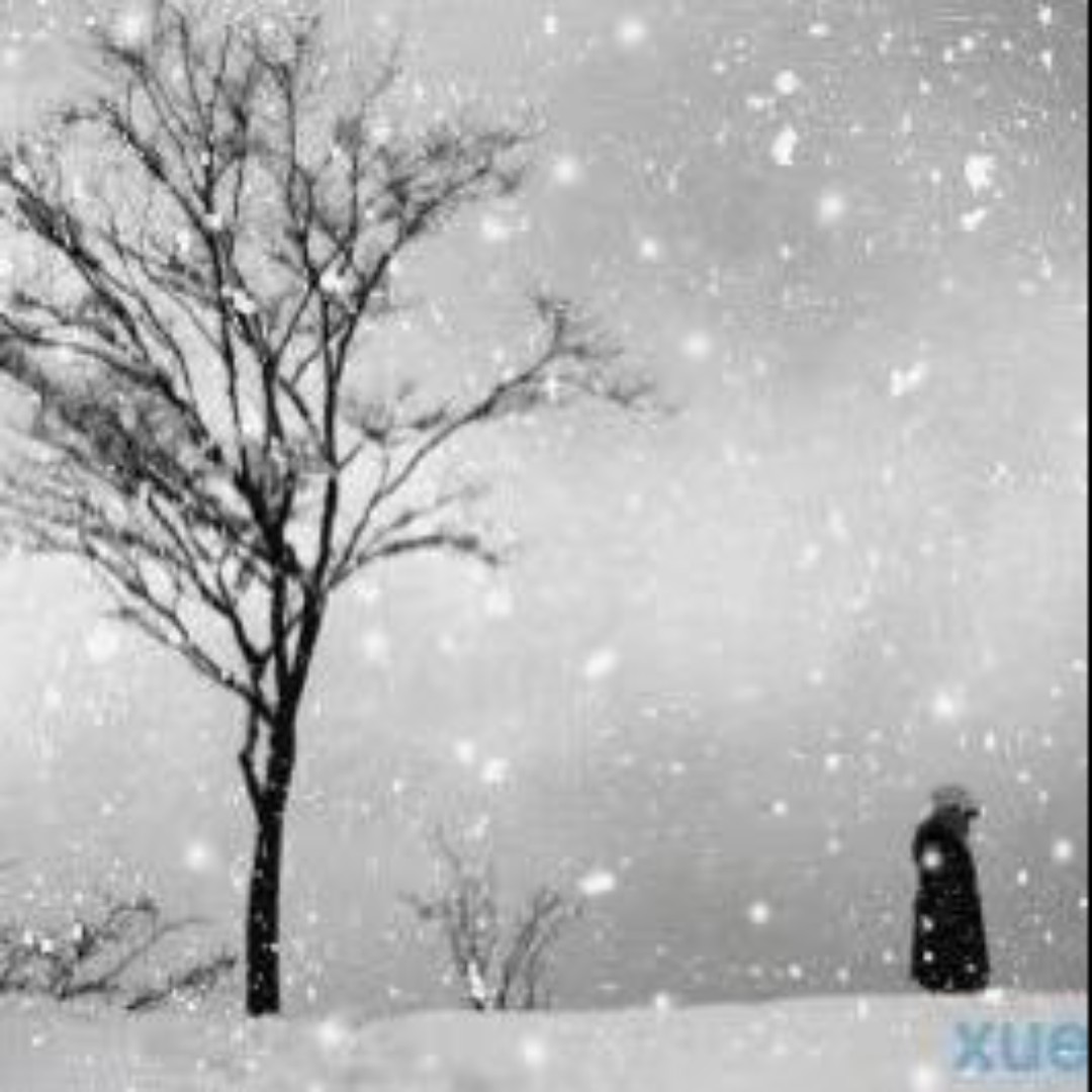 爱吃麻辣喝螺的风度