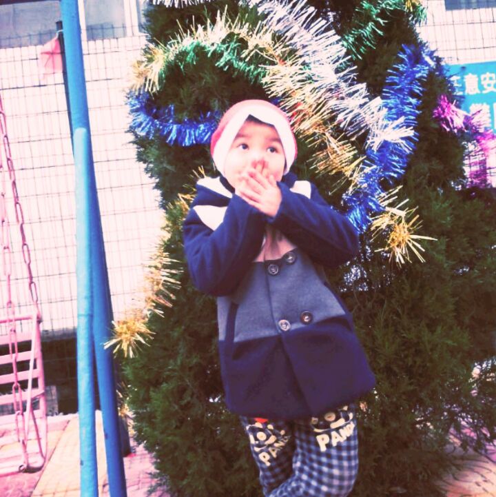 爱吃三丝燕菜的汤圆倾心