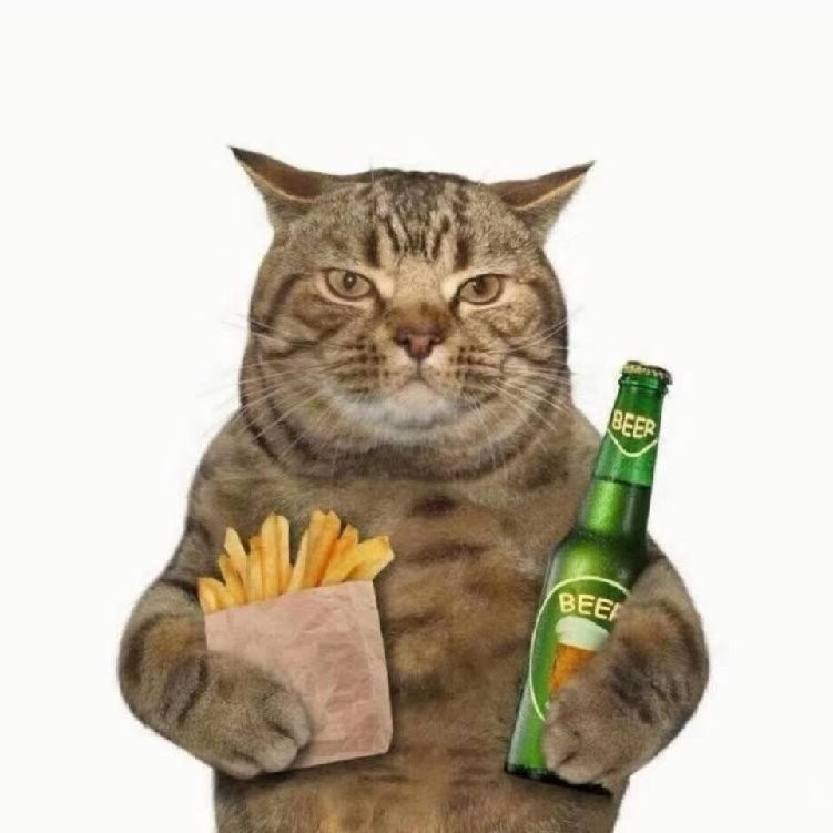 岁月遗失的青春