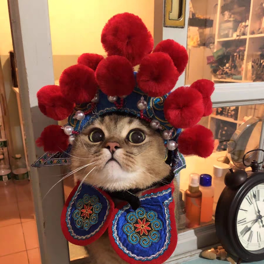 爱吃炸鱿鱼圈的板栗