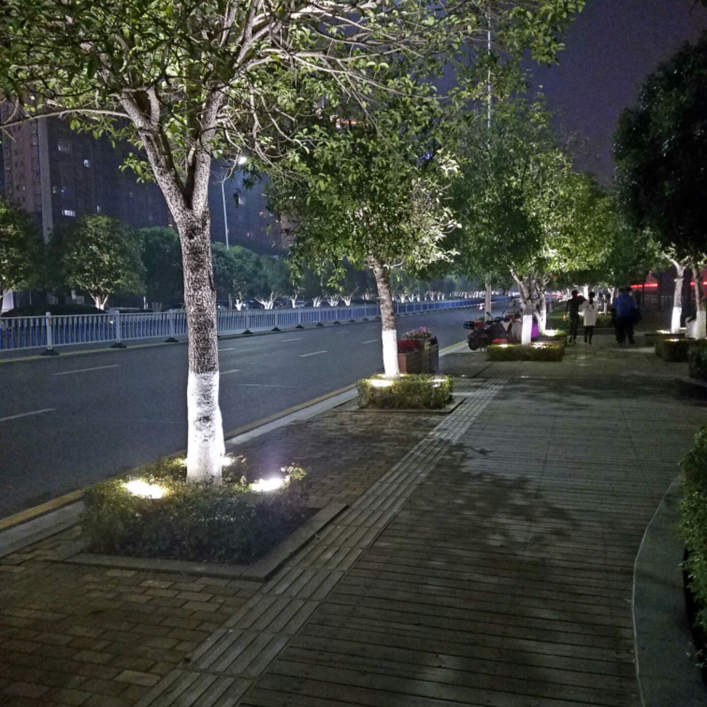 五彩缤纷的三七