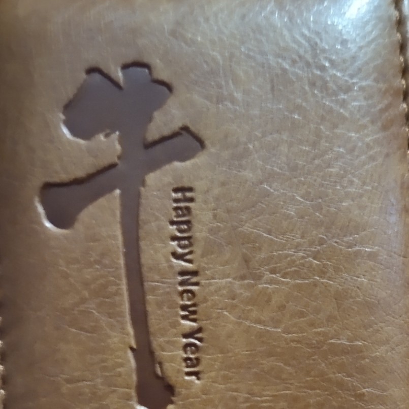 爱吃排骨寿司的小神奇