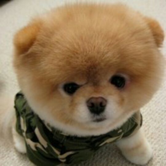 朕的快递到了啊！