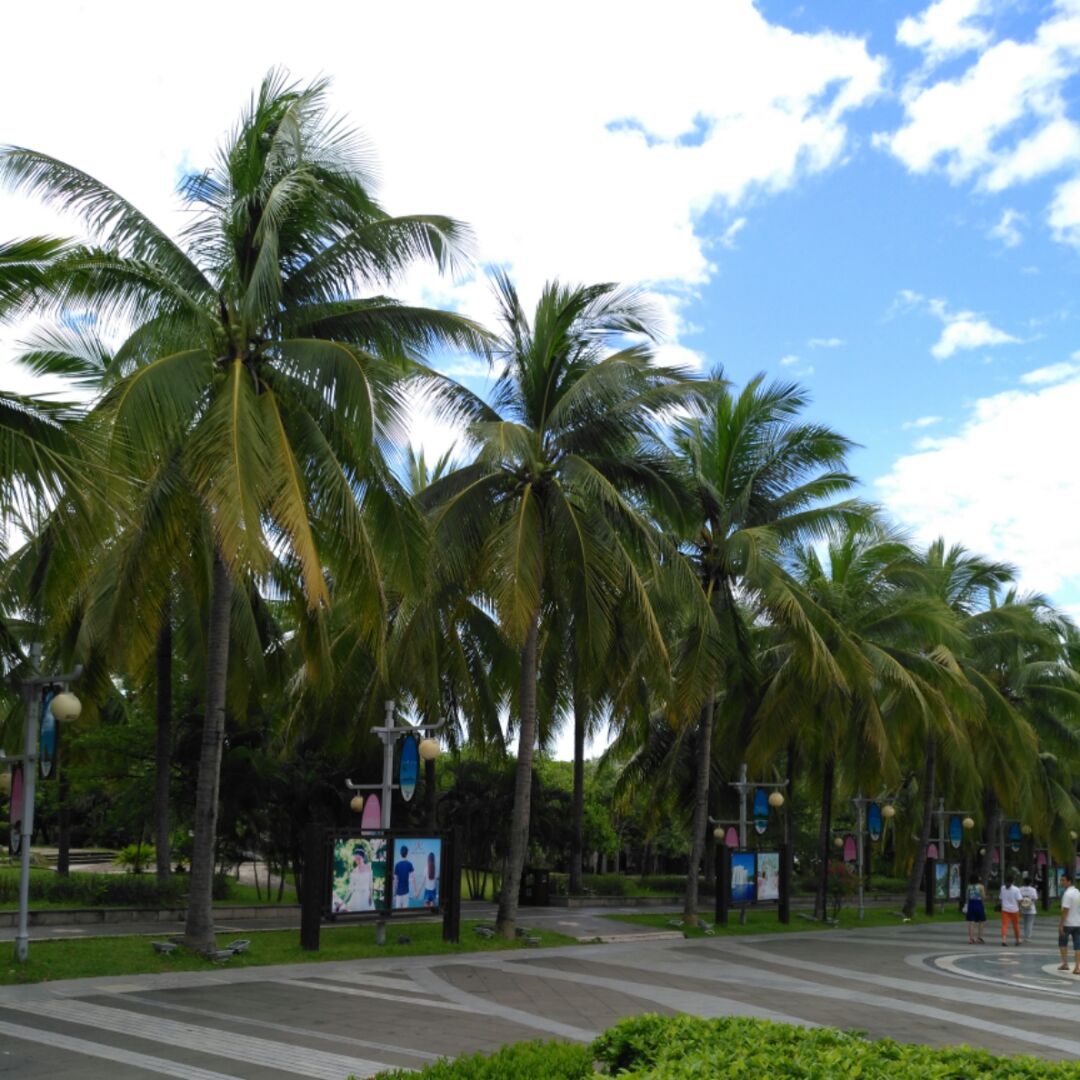 一把雨伞醉江南