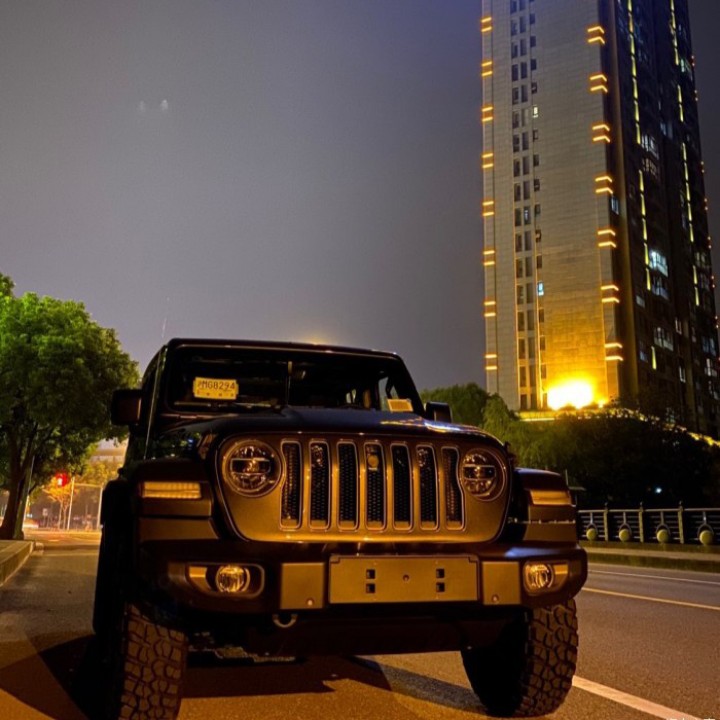 但愿有人陪你颠肺流离