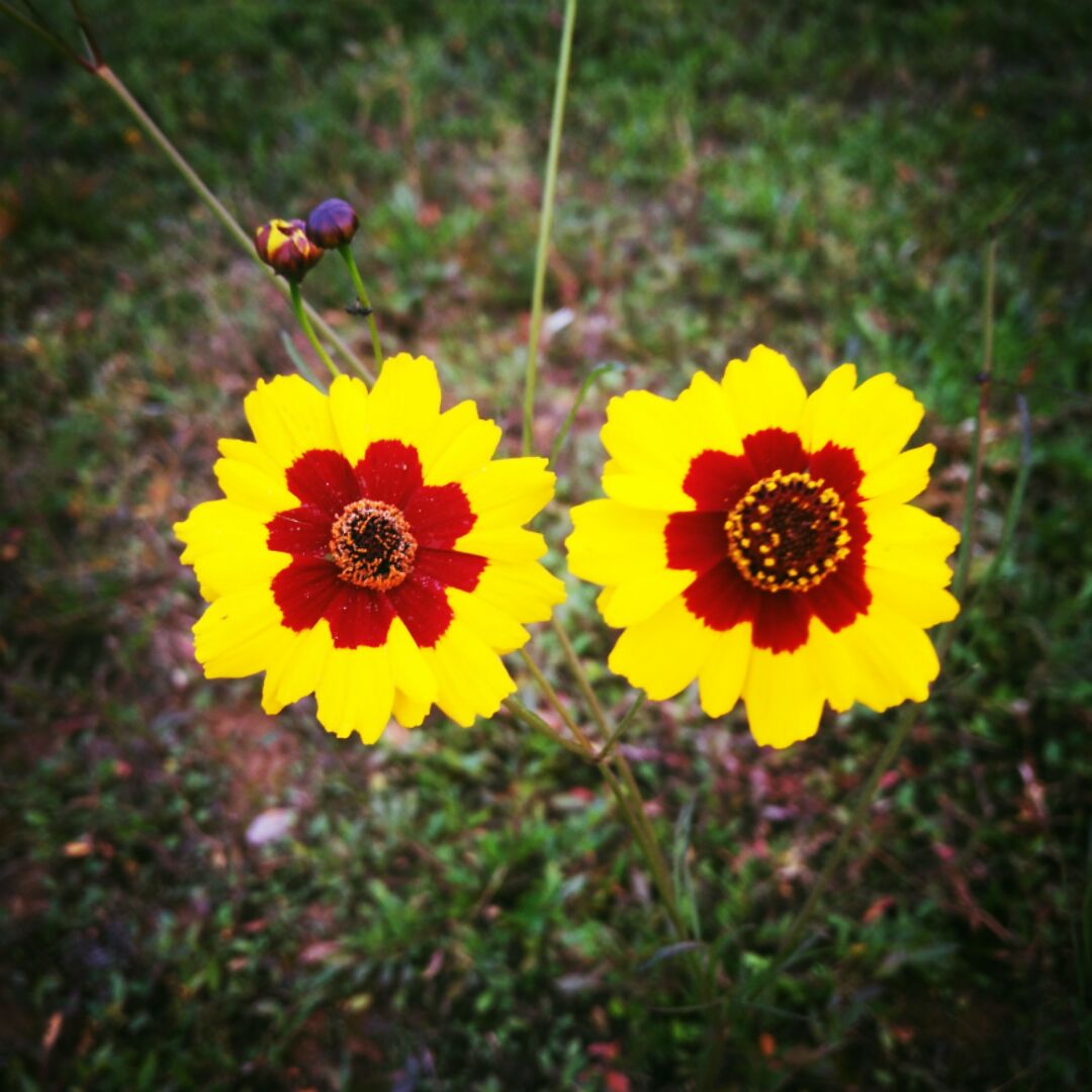 电化区段严禁攀登