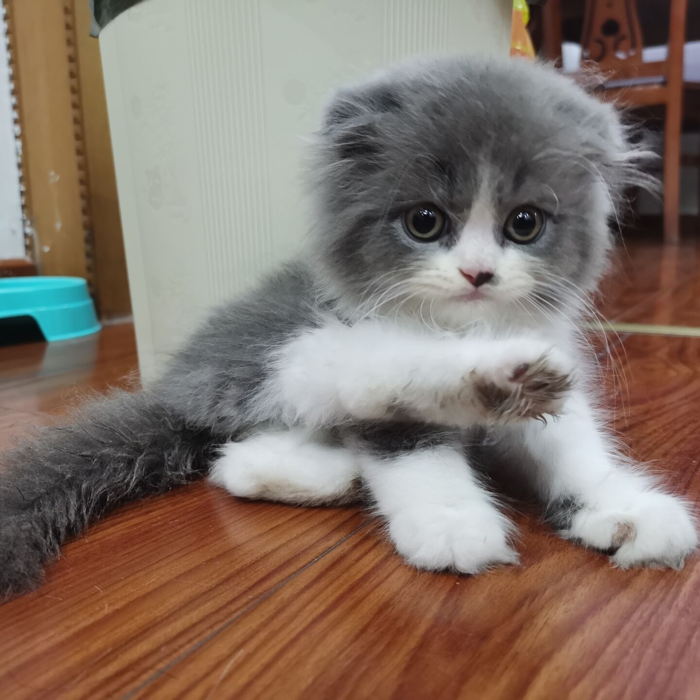 也同样破空(^_^)