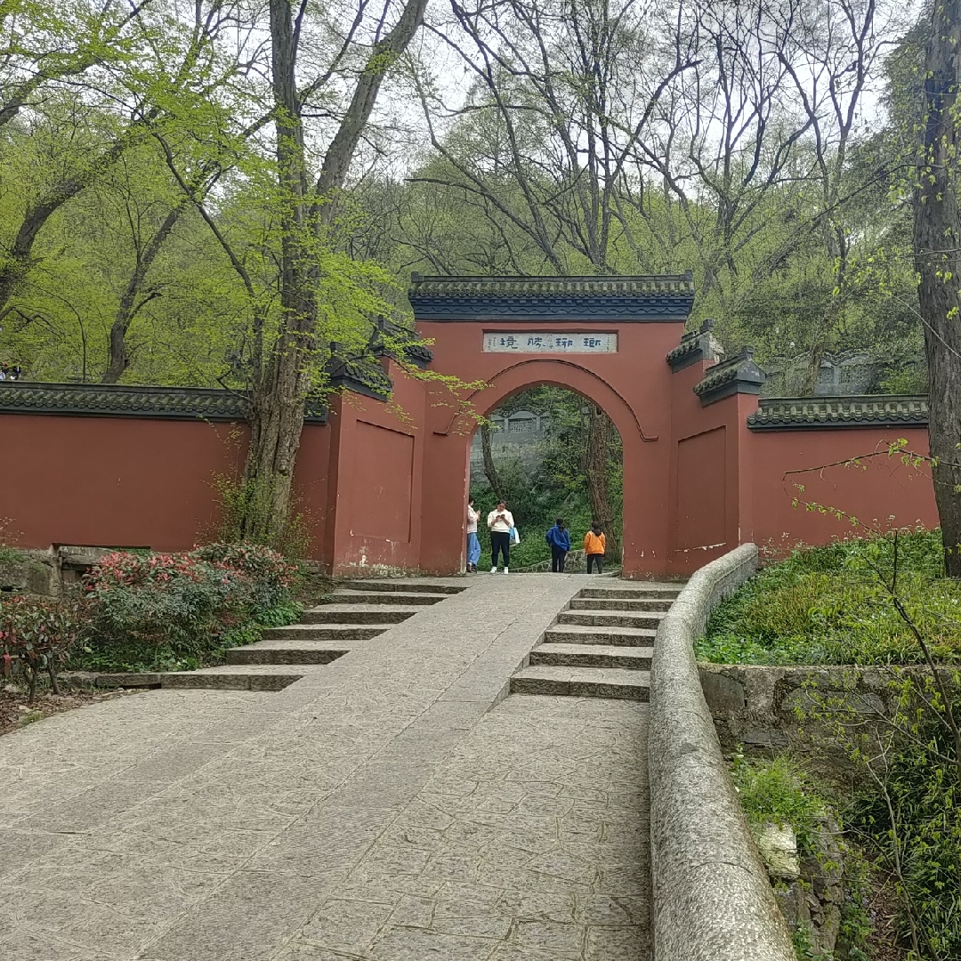 爱吃蟹蒸蛋羹的山川