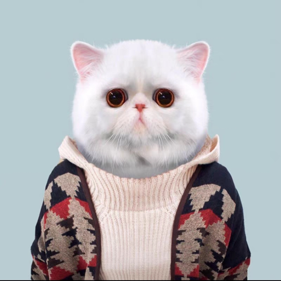 爱吃盐焗鸡脚的唐三藏