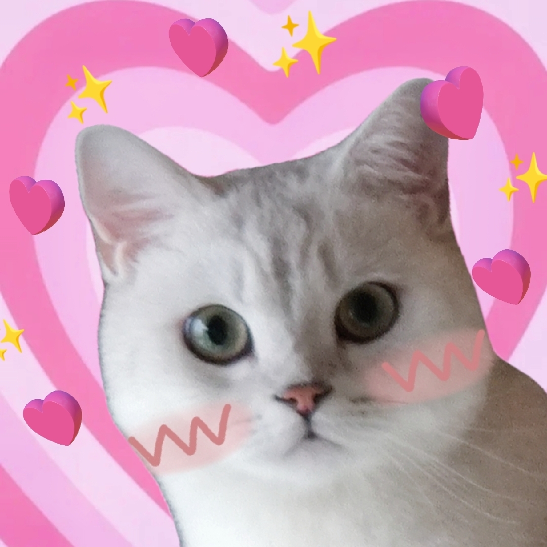 迪士尼在岗公主