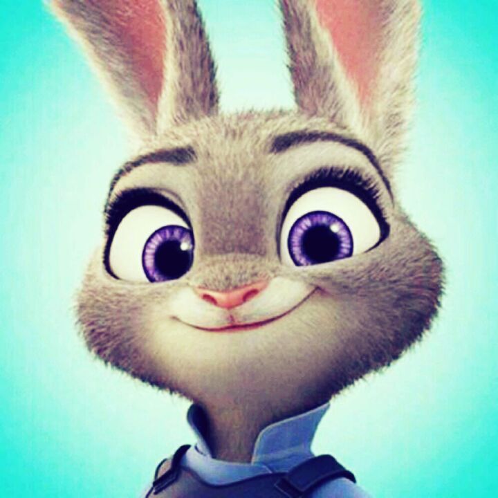 爱吃糖水草莓的南瓜