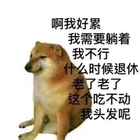 表弟我来了