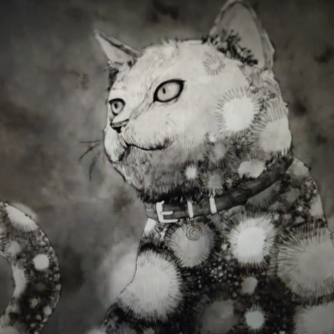 果汁含量大于九十