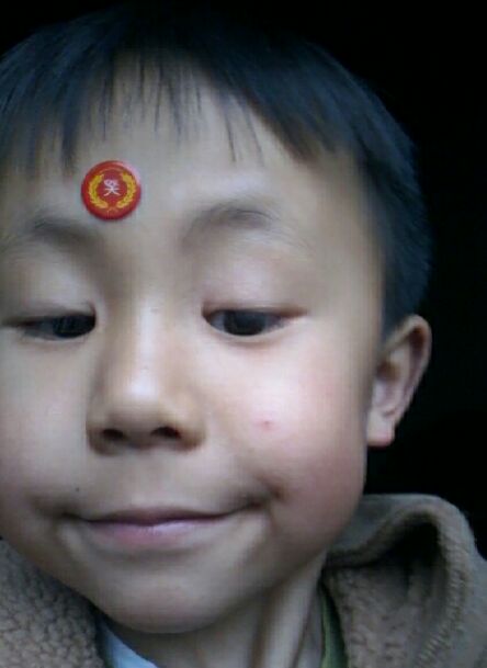 白茫茫的无叶兰